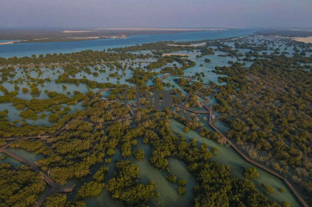 Front Row | Private Beach Access | Large End Plot