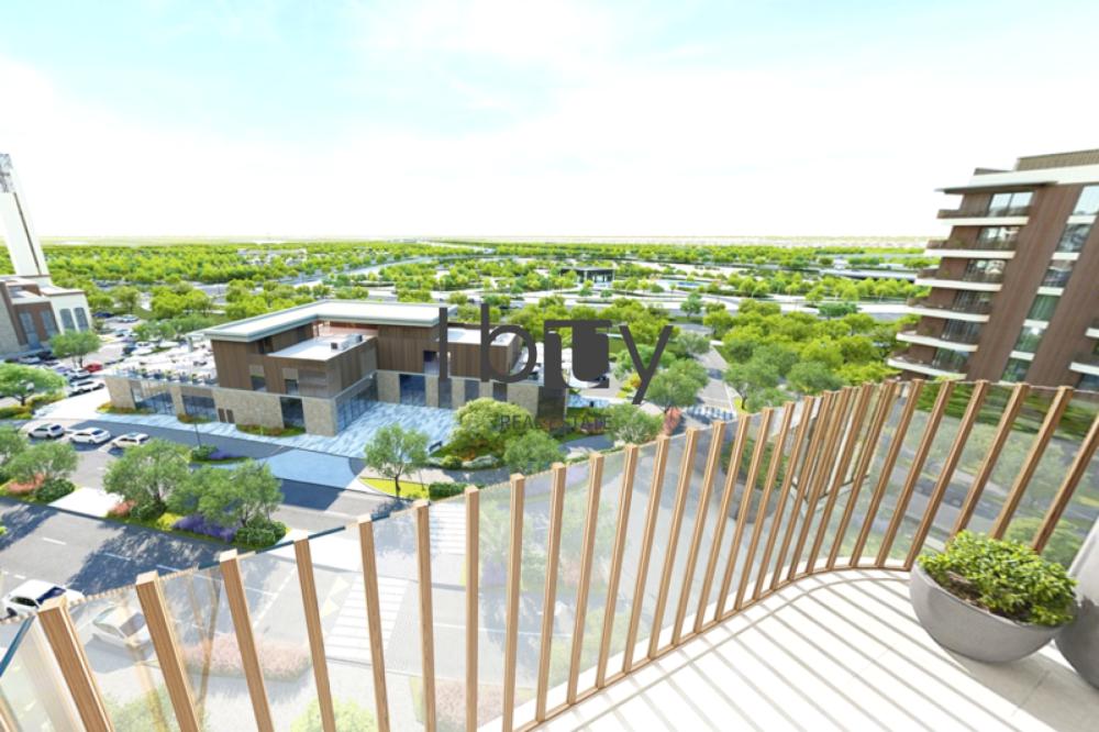 Violet | Studio | Hot Deal | Best Price |